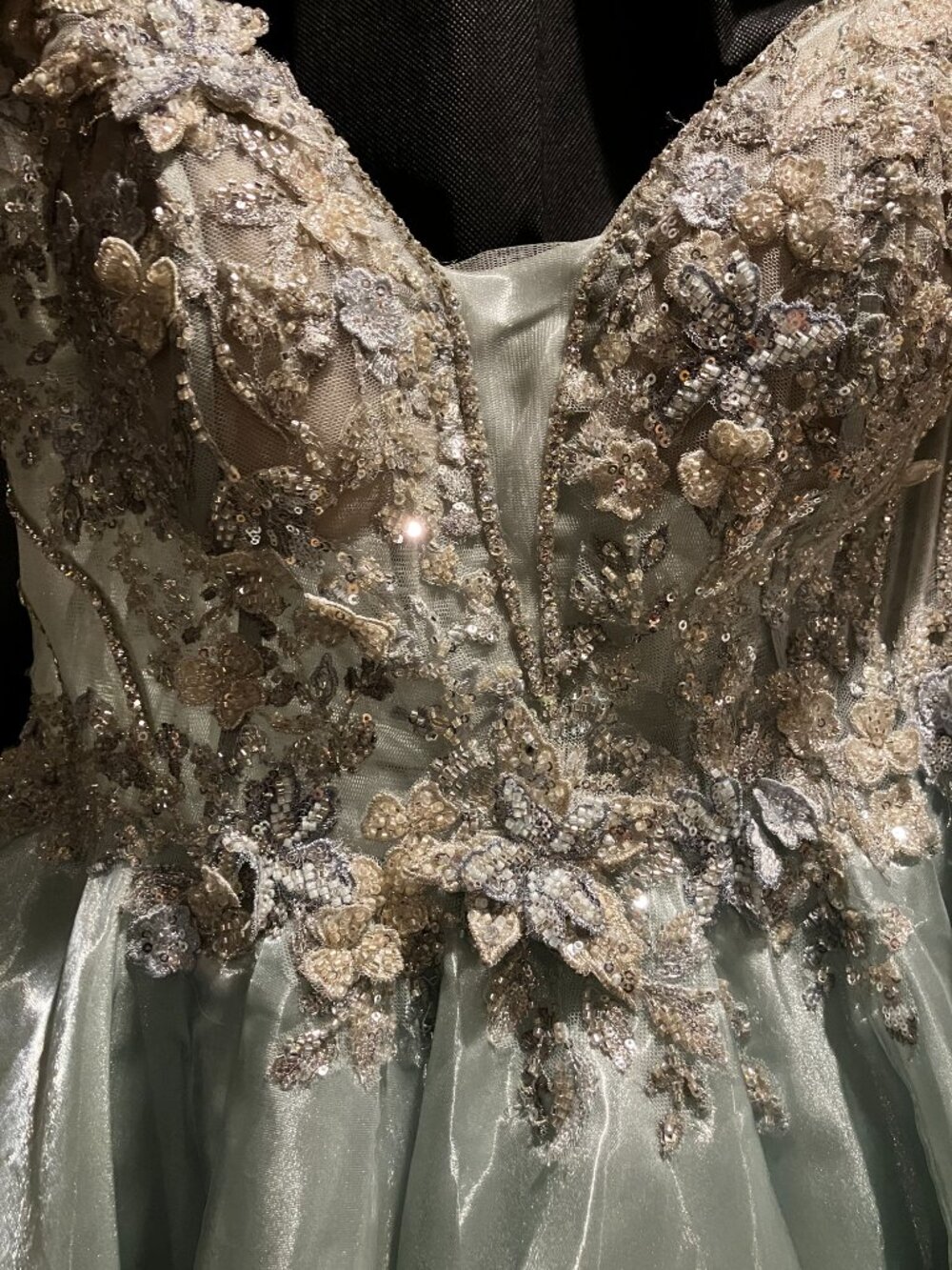 Prom Dress - Picture 7 of 8